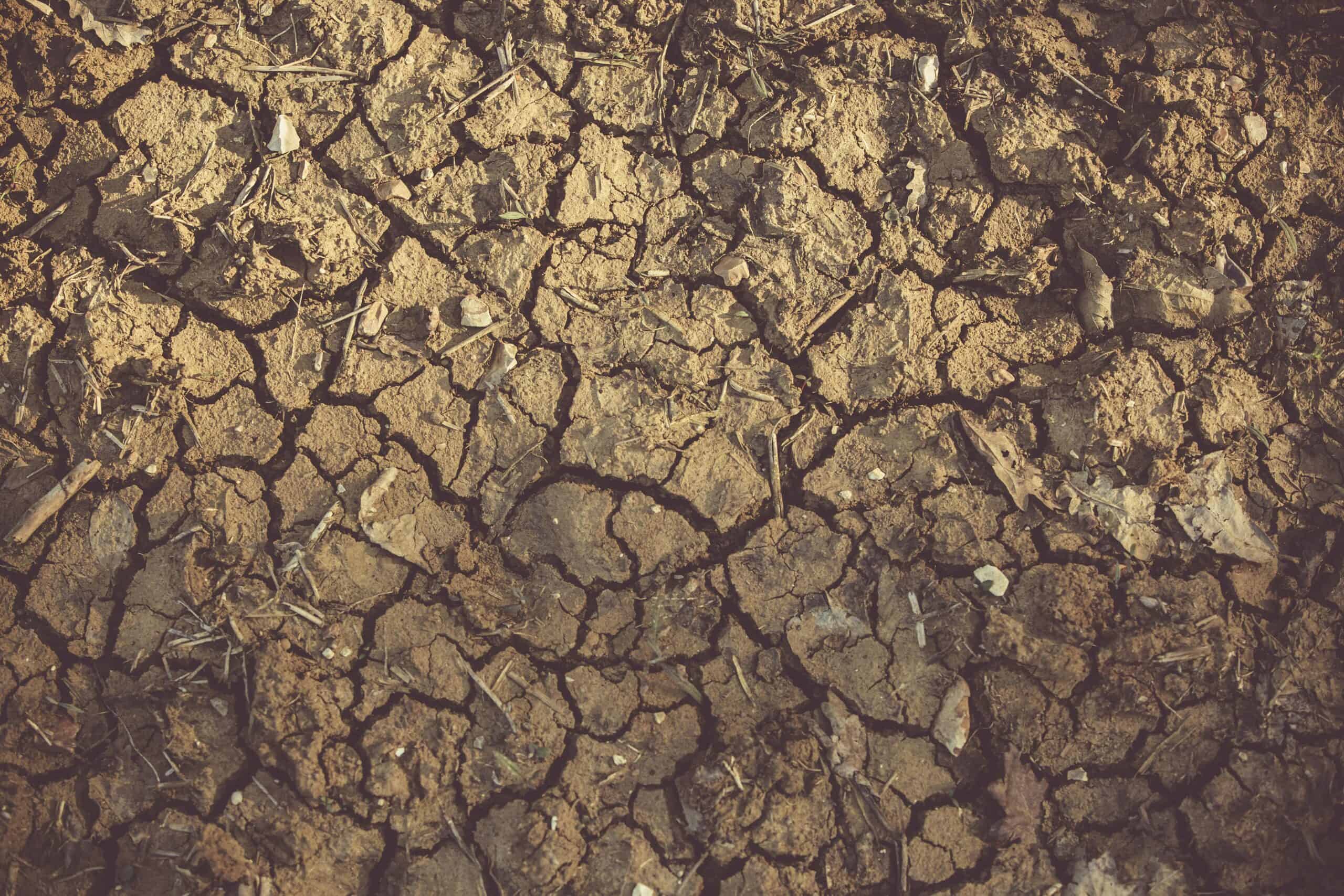 Close-up of cracked clay soil caused by poor drainage, illustrating compacted ground conditions that affect foundation stability.