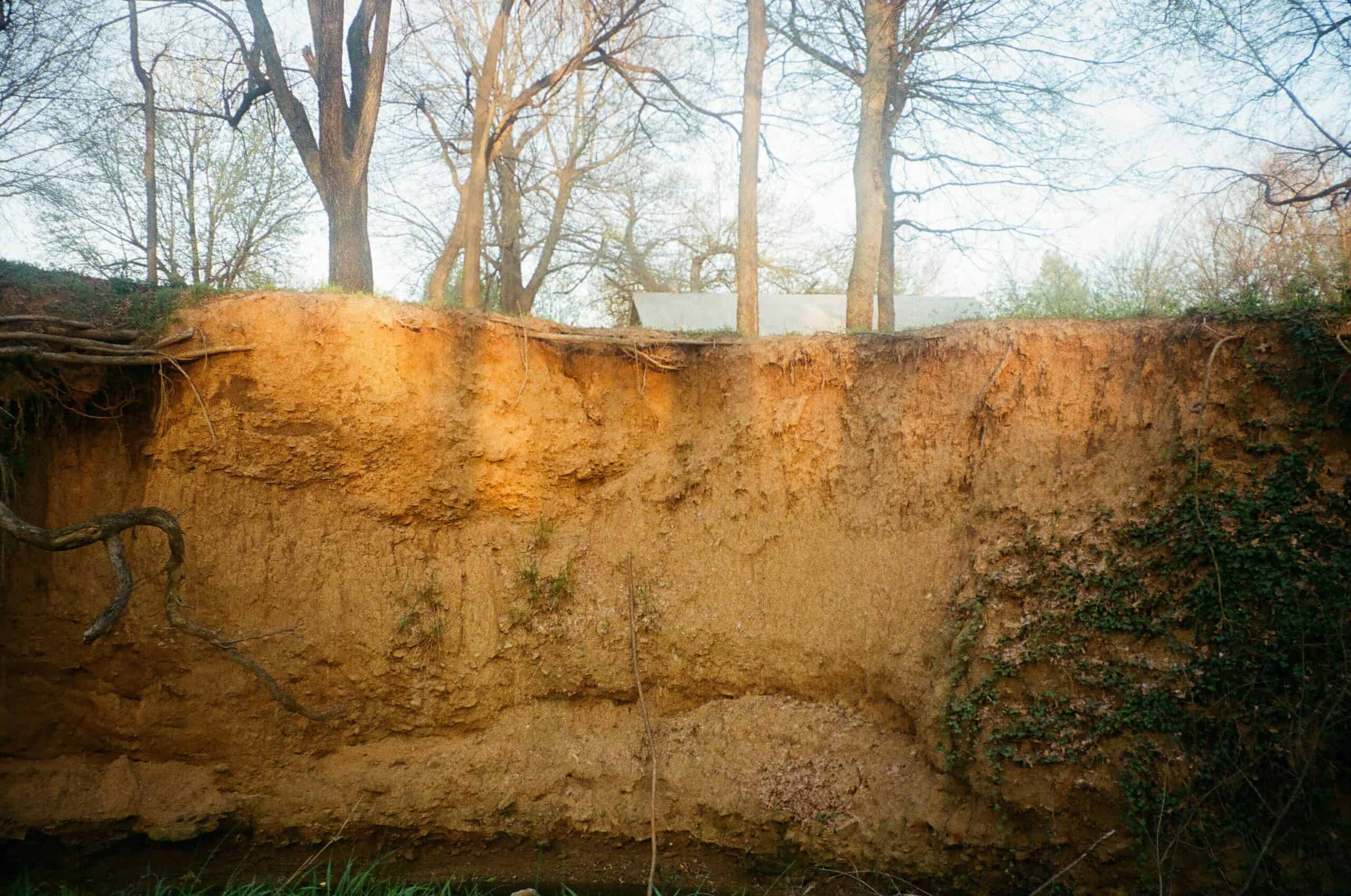 Severe soil erosion exposing tree roots and topsoil, illustrating how erosion removes ground support near a home foundation.