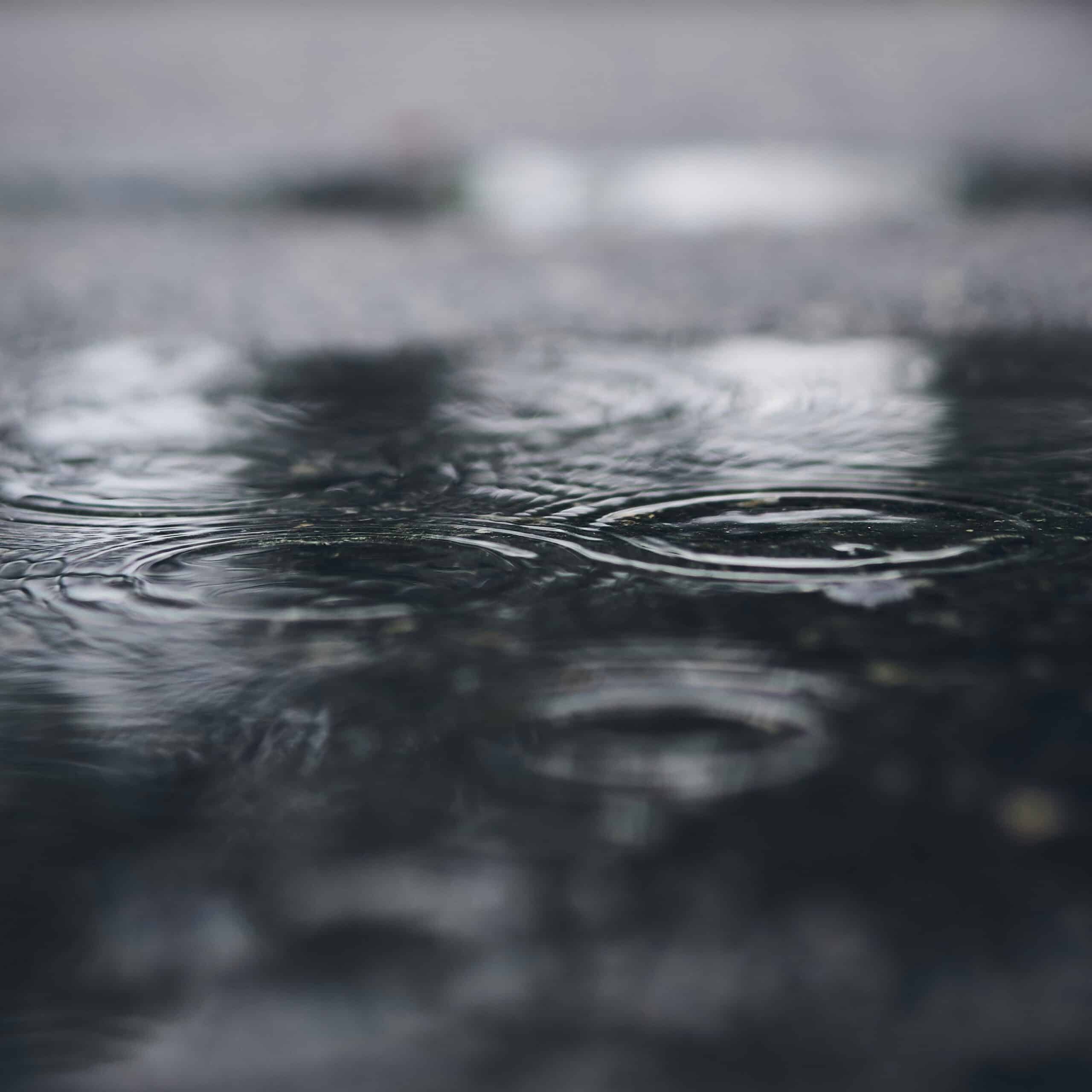 If puddles form on your basement floor or along the wall after heavy rainfall, you’re seeing direct evidence of drainage or grading issues outside your home.