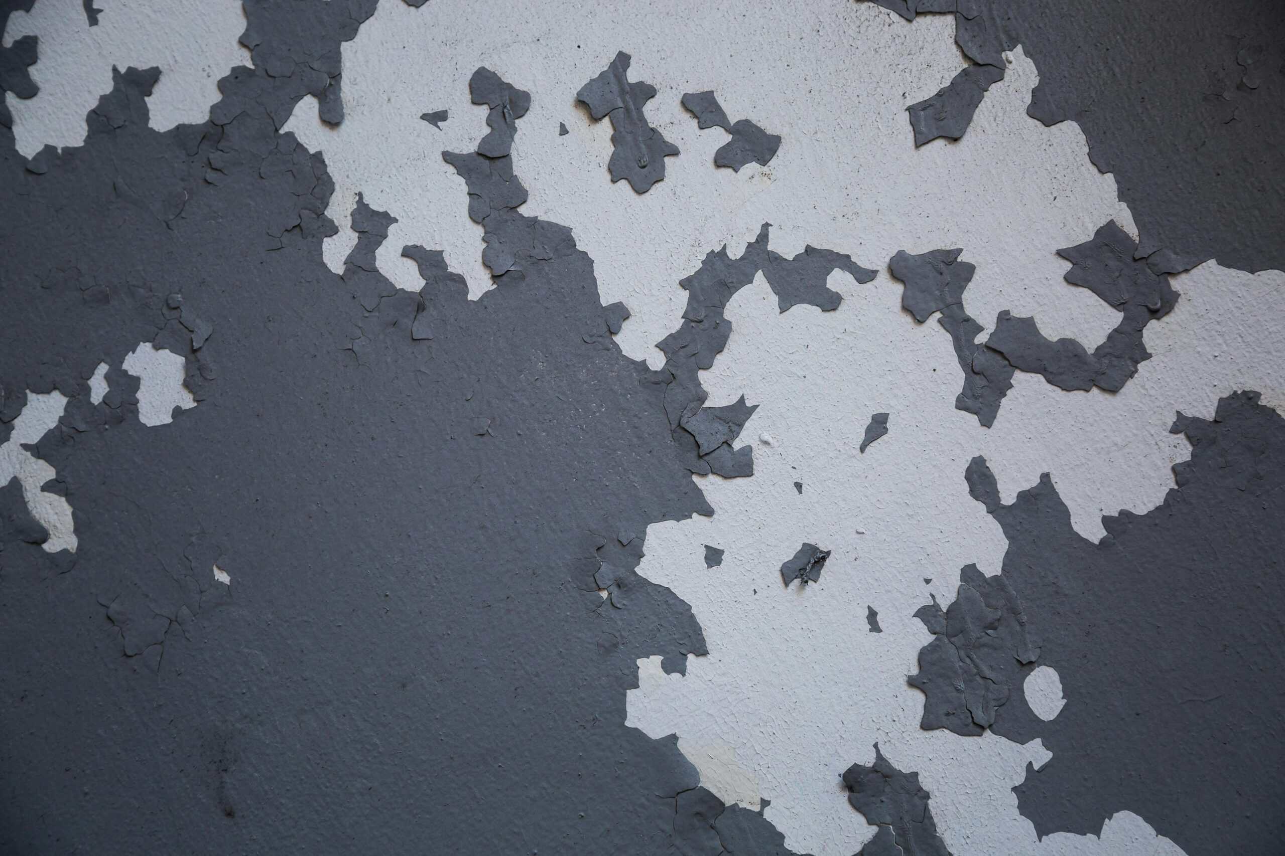 Peeling paint on a concrete basement wall caused by moisture vapor behind the surface