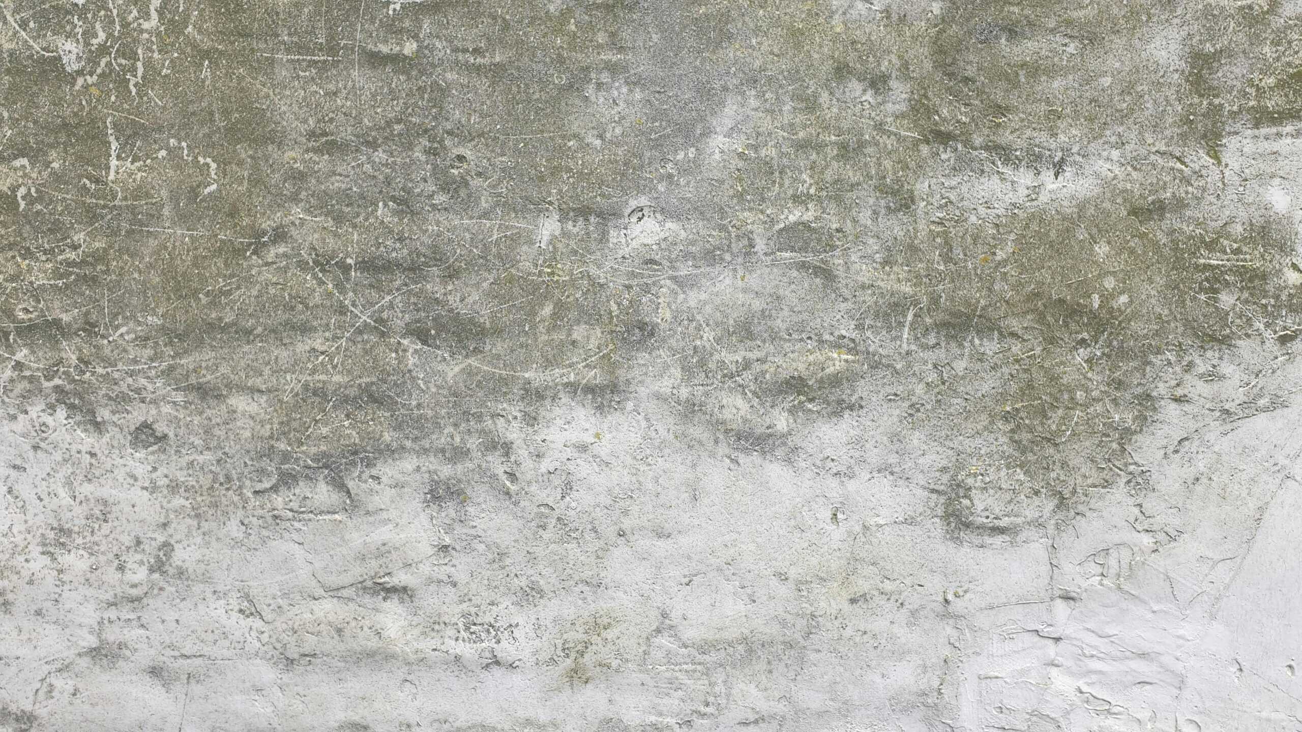 White powdery efflorescence on a concrete basement wall caused by moisture moving through masonry