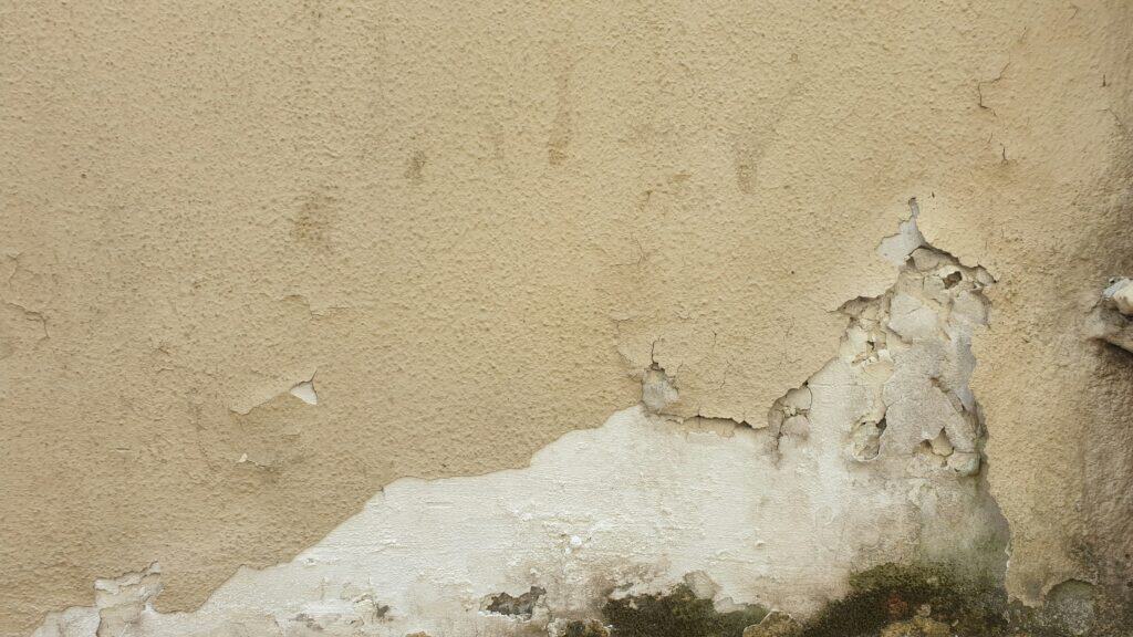 Damp basement wall with peeling paint and moisture damage